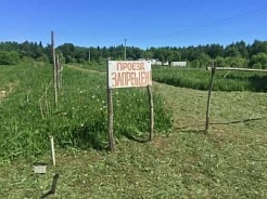 Экспертиза по делу № А41-40512/17