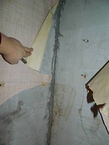DSCN4137