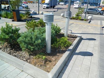 DSCN2397