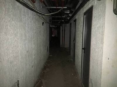 IMG_5527