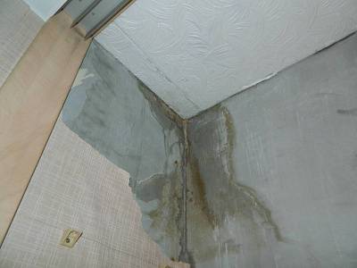 DSCN4135