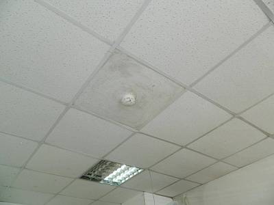 DSCN5875