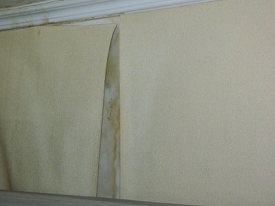 DSCN0527